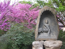Buddha Statue with Tree Blossoms