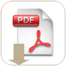 PDF Icon